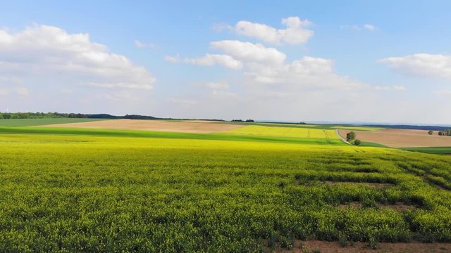 Flight over a rapefield in the country - beautiful aerial footage