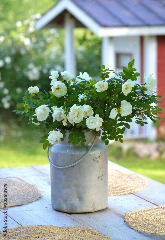 Wall mural midsummer roses in an old milk churn