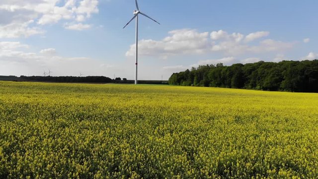 Flight over a rapefield in the country - beautiful aerial footage