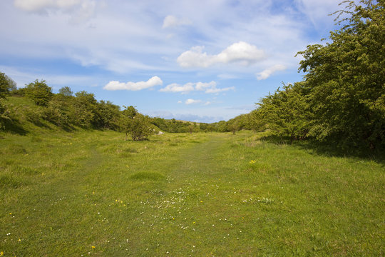 Kiplingcotes nature walk and reserve