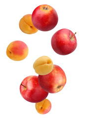 Falling fruit: apples and apricots isolated on white background.