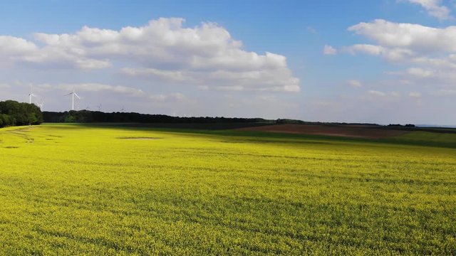 Flight over a rapefield in the country - beautiful aerial footage