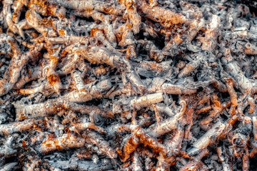 Ash and embers of bonfire