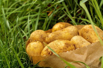 a package of potatoes standing in the grass