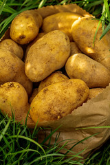 a package of potatoes standing in the grass