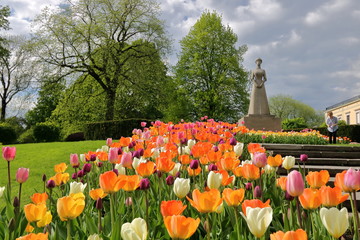 Kolorowe kwitnące tulipany w Parku Królewskim okalającym pałac, rzeźba kobiety, schody, turystka, dzrewa w parku, tło nieco rozmyte - obrazy, fototapety, plakaty