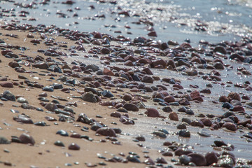 Beautiful smooth sea stones in the sands of the beach. Closeup photo of stone textures and shapes.