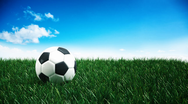 Traditional black and white soccer ball on grass