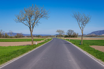 Asphalt road among fields near Eckartsau, Austria