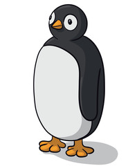 vector drawing of a cute penguin