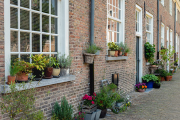 Fototapeta na wymiar Colorful flowering potted plants in an old Dutch beguinage