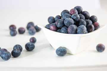 Blueberries on white background.