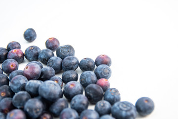Blueberries on white background.