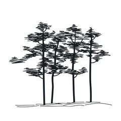 Hand drawing sketch tree, groupe of pines