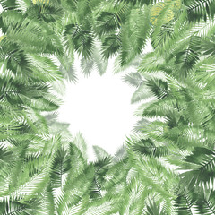 Fototapeta na wymiar tropical watercolor background, natural leaves, paportnik, dense jungle, palm leaves, liana, traditional chant, callas, lianas, on white background
