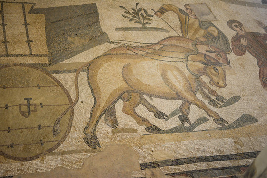 mosaic floor of a Roman villa