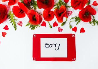 Sorry card with poppy flowers on white background