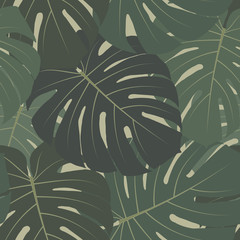 Vector tropical seamless pattern with dark green leaves of monstera plant