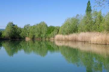 Pond near Paris in France, Europe