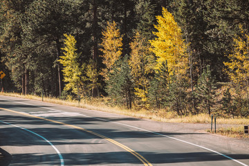 Fototapeta premium Highway at autumn in Colorado, USA.