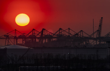 Obraz na płótnie Canvas The Rotterdam harbour during sunset - Netherlands
