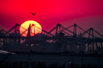 Fototapeta na wymiar The Rotterdam harbour during sunset - Netherlands