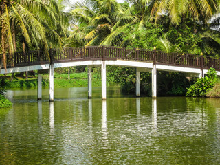 Fototapeta na wymiar wooden bridge over the canal in the park