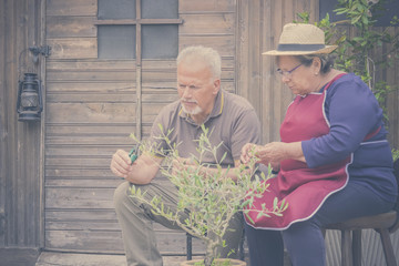 elderly senior couple in countryside like home farm work together, with plants cutting and repair...