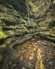Myrtle Gully Falls, Tasmania