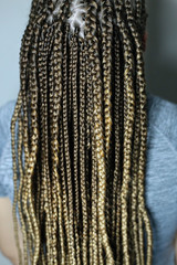 texture of thick African braids back view, lots of thin braids on girl's head on white background