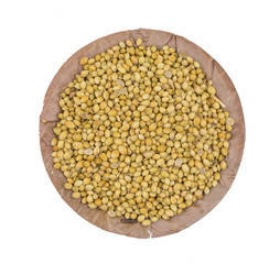 Dried Coriander Seeds or Dhaniya isolated on White Background