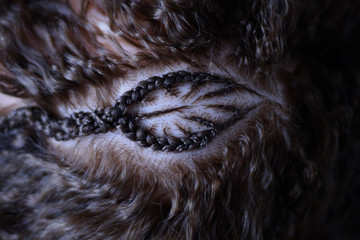 elements braided pigtails by the master, examples of works, close-up