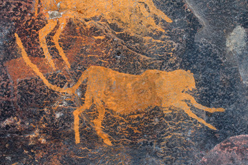 Bushmen (san) rock painting of a cheetah, South Africa.