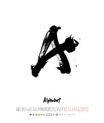 벡터 문자 / 손으로 쓴 글씨체