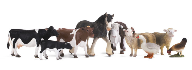 A group of farm animals isolated on a white background