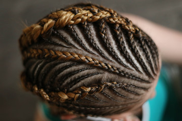 hairstyles from thin plaits on the head of a girl, a master, a beauty salon, a beauty trail - obrazy, fototapety, plakaty