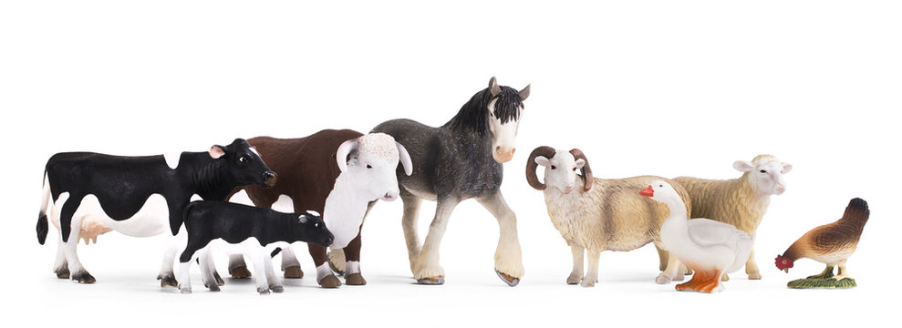 A group of farm animals isolated on a white background