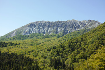 鍵掛峠から見た初夏の大山南壁