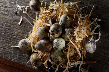 Conceptual still-life with quail eggs in hay nest over dark wooden background, close up, selective focus