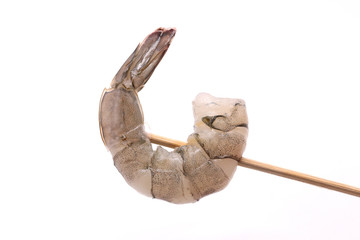 shrimps with white background