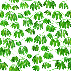 Tropical lianas, seamless pattern for printing. Watercolor illustration.
Natural green background. Seamless pattern. Illustration for printing on fabric, paper, clothes, bed linen.
