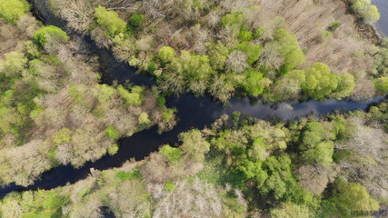 See Gabelung - Wald