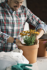 Man's hands transplanting plant.