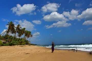 A women go around the Palm trees on the beach, surrounded by green bushes, some coconuts. the sea comes in a gentle wave to the beach and white clouds hang in the sky