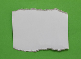 pieces of torn paper texture on green background, copy space.