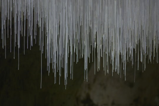 Grotte de Choranche