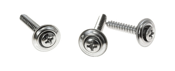 Stainless steel trim head screws isolated on a white background.