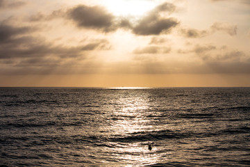 サンセットの波待ち