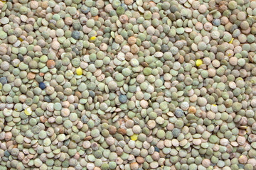 Green lentils close-up.Texture of green lentils