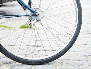 Bicycle wheel close-up. Free space. Detail. Bike
